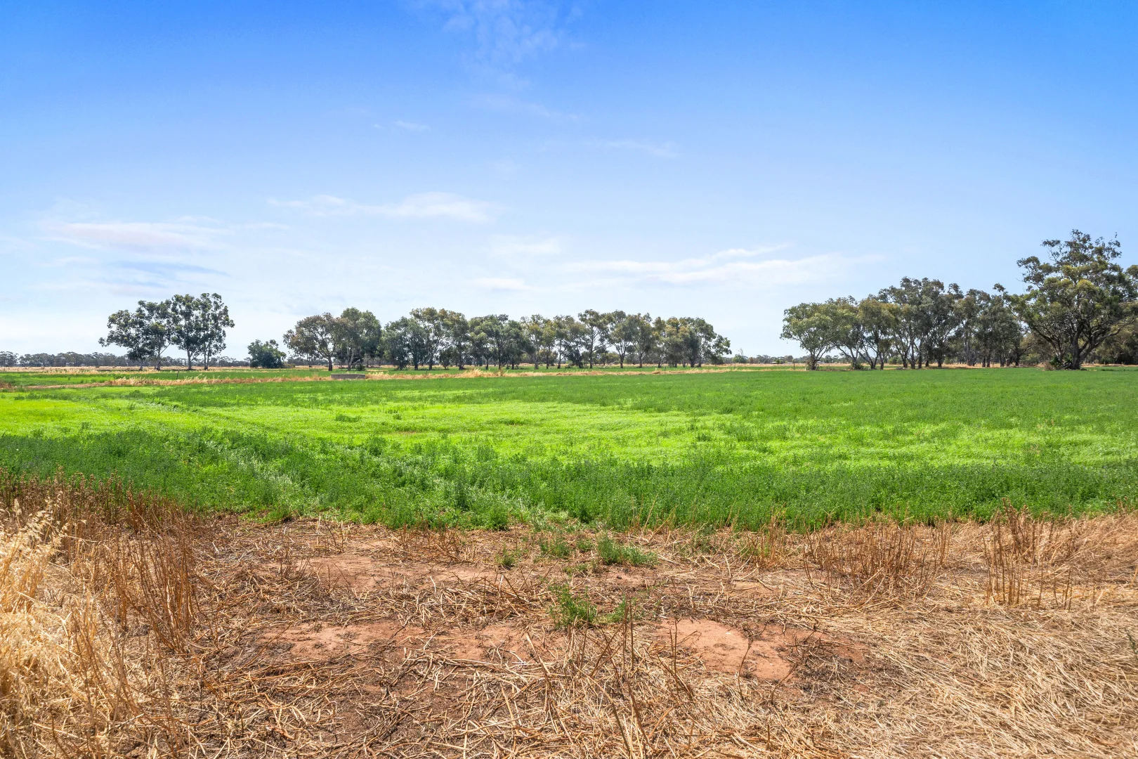 Additional image 15 of 779 Spences Road & 96 Katunga-Picola Road, Katunga VIC 3640