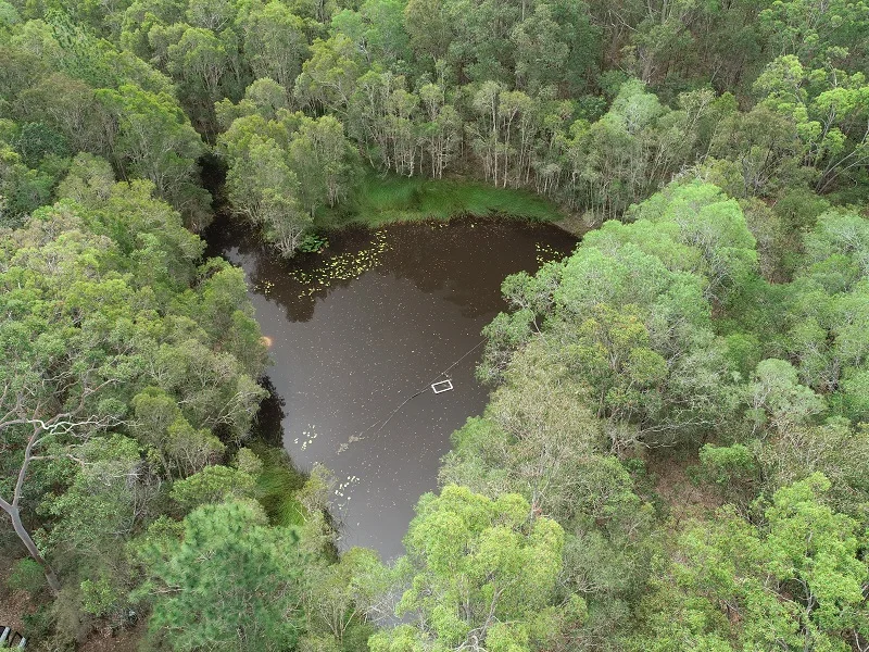 Additional image 20 of 89 Banksia Road, Talegalla Weir QLD 4650