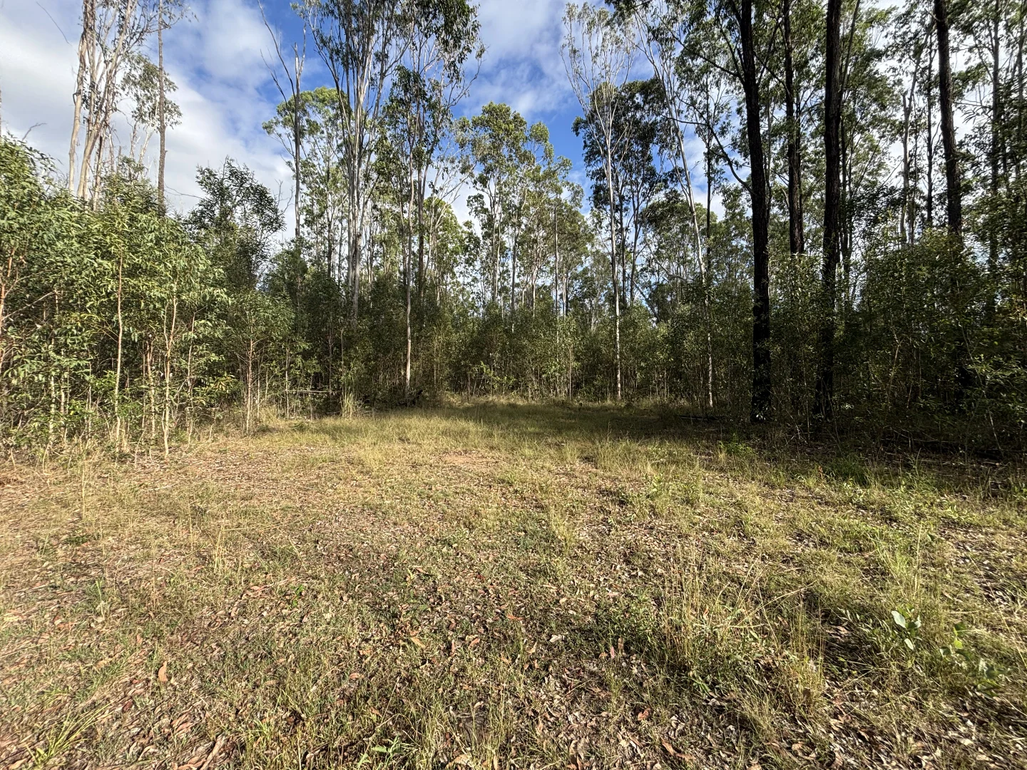 Additional image 10 of 580 Old Tenterfield Road, Camira NSW 2469