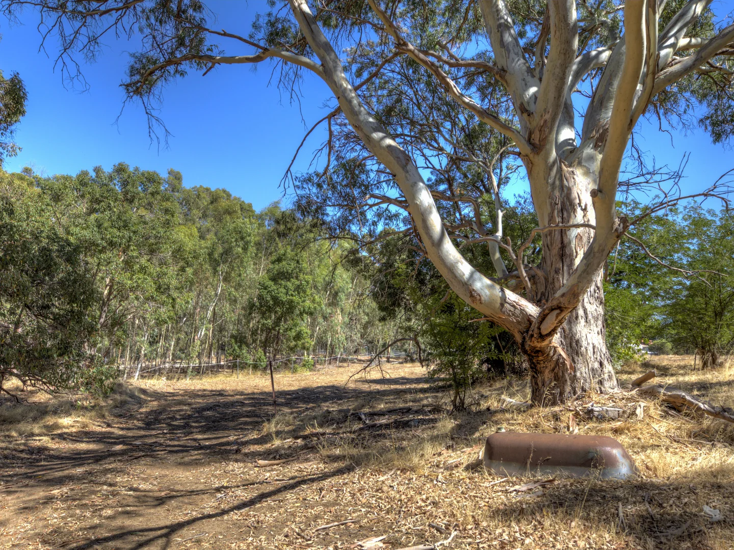 Additional image 8 of 174 Lewis Road, Forrestfield WA 6058