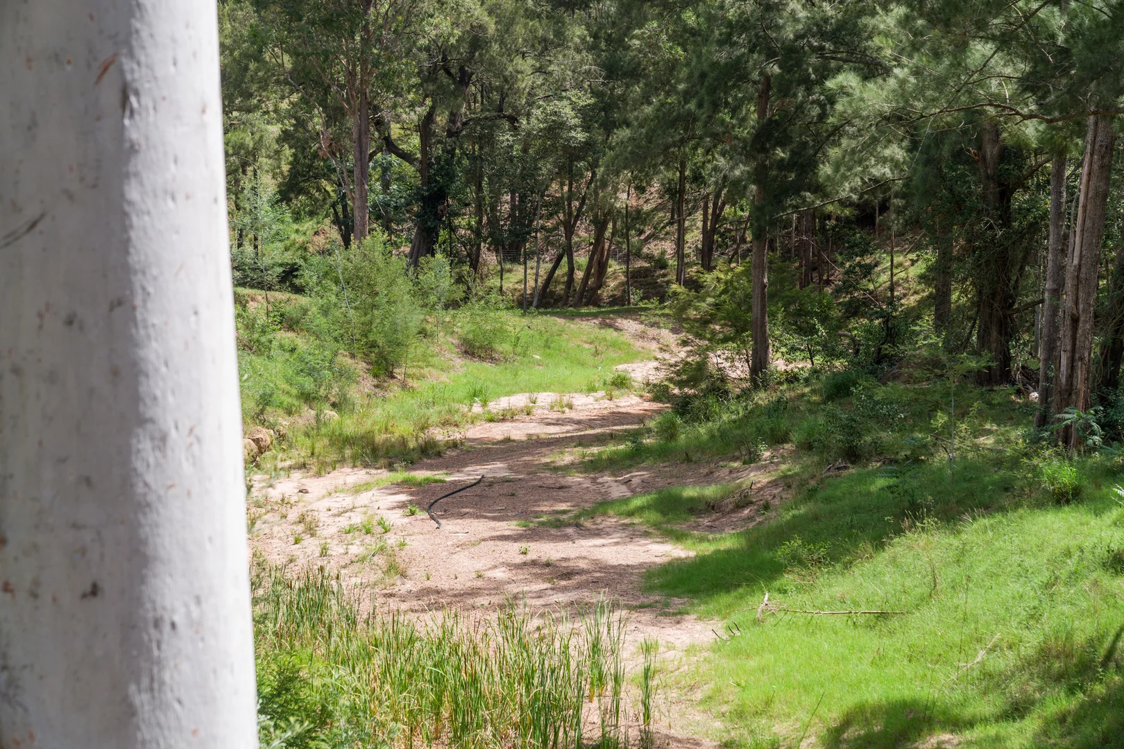 Additional image 70 of 3134 Putty Road, Milbrodale NSW 2330