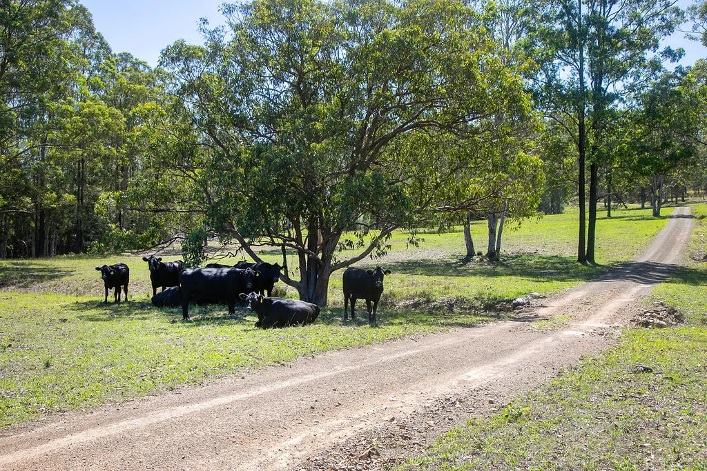 Additional image 5 of 1514 Willina Road, Gloucester NSW 2422