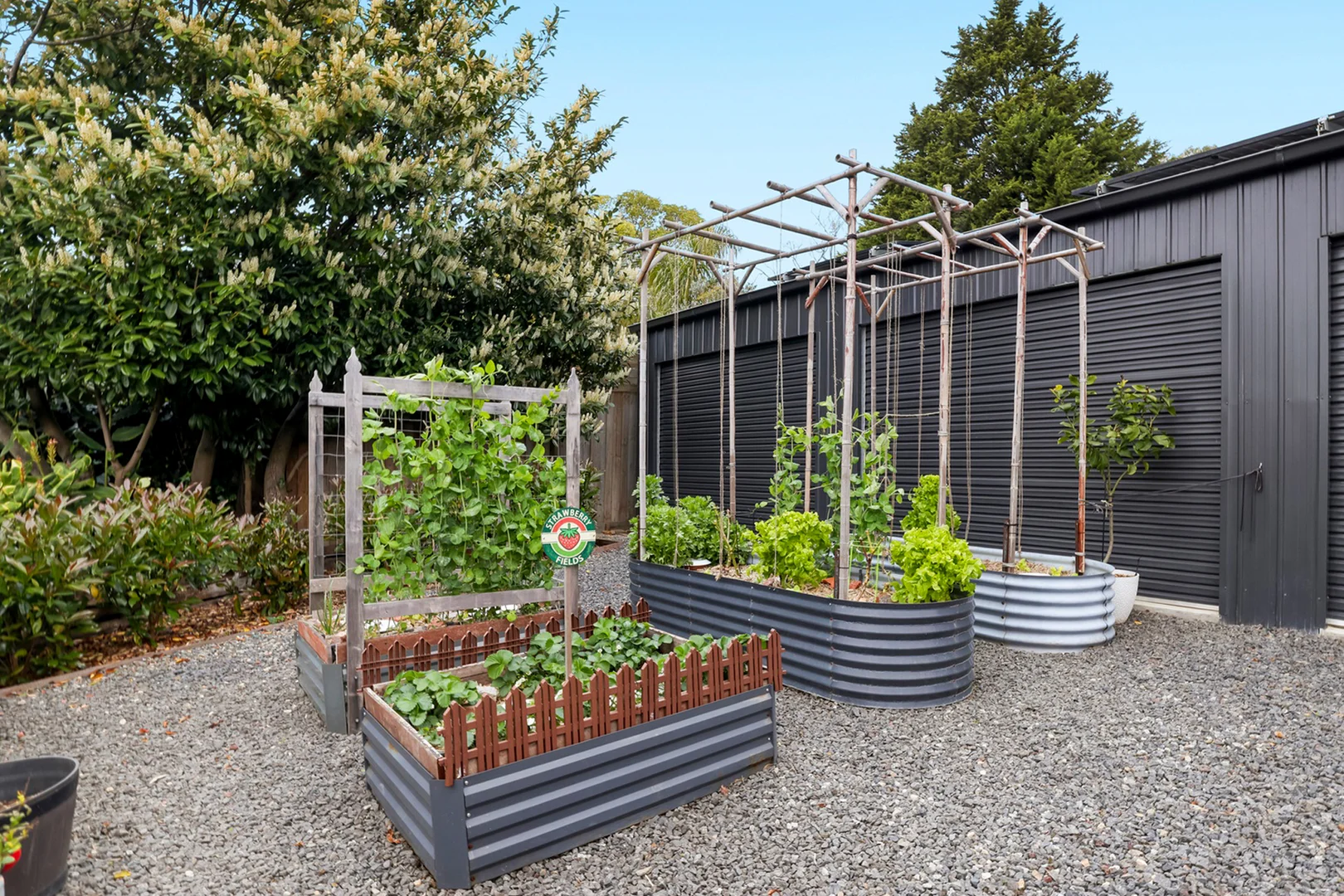 Additional image 11 of 55 Stephen Avenue, Montrose VIC 3765