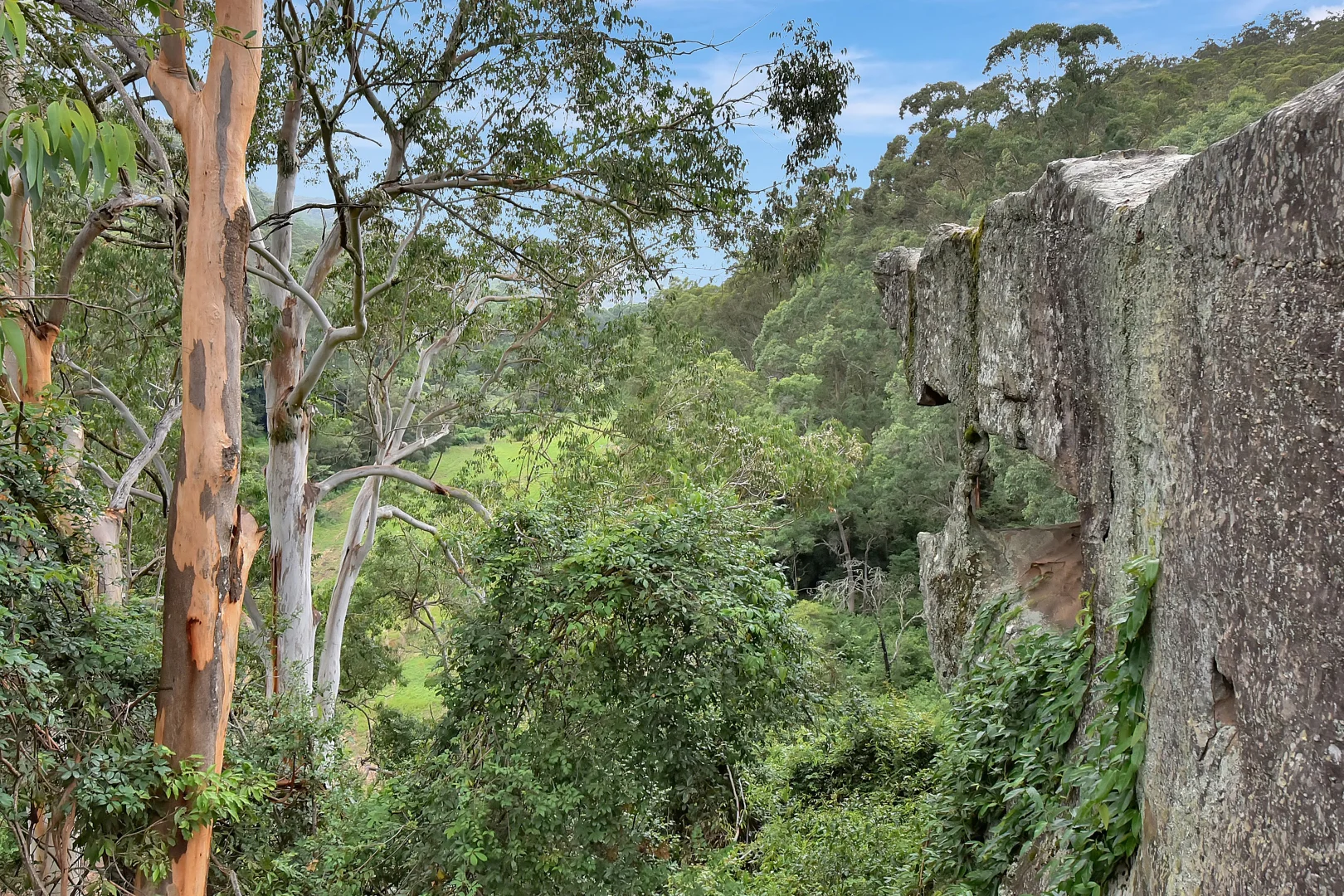 Additional image 30 of 35 Dogwood Road, Laguna NSW 2325