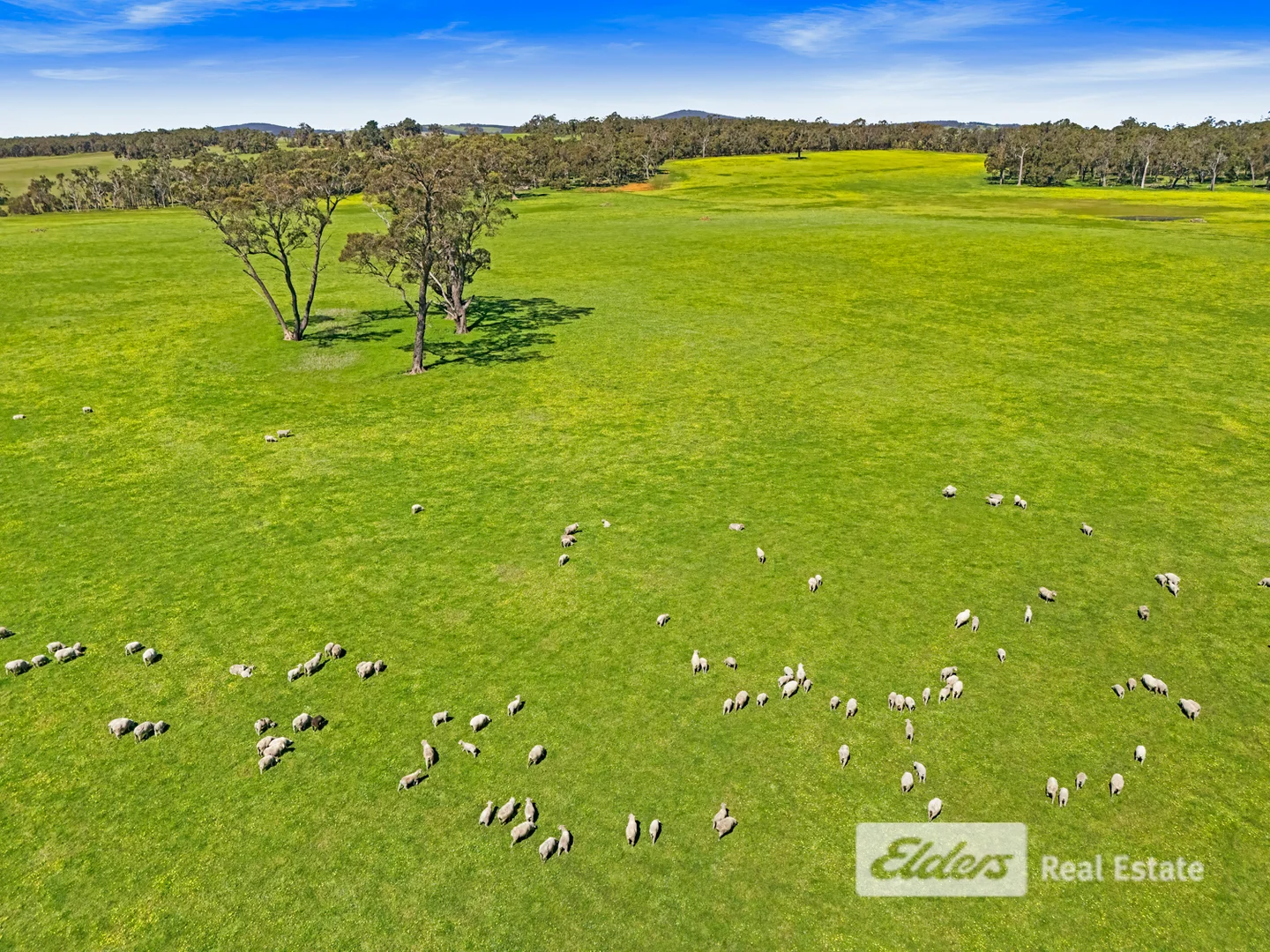 Additional image 15 of 101 Riches Road, Mount Barker WA 6324