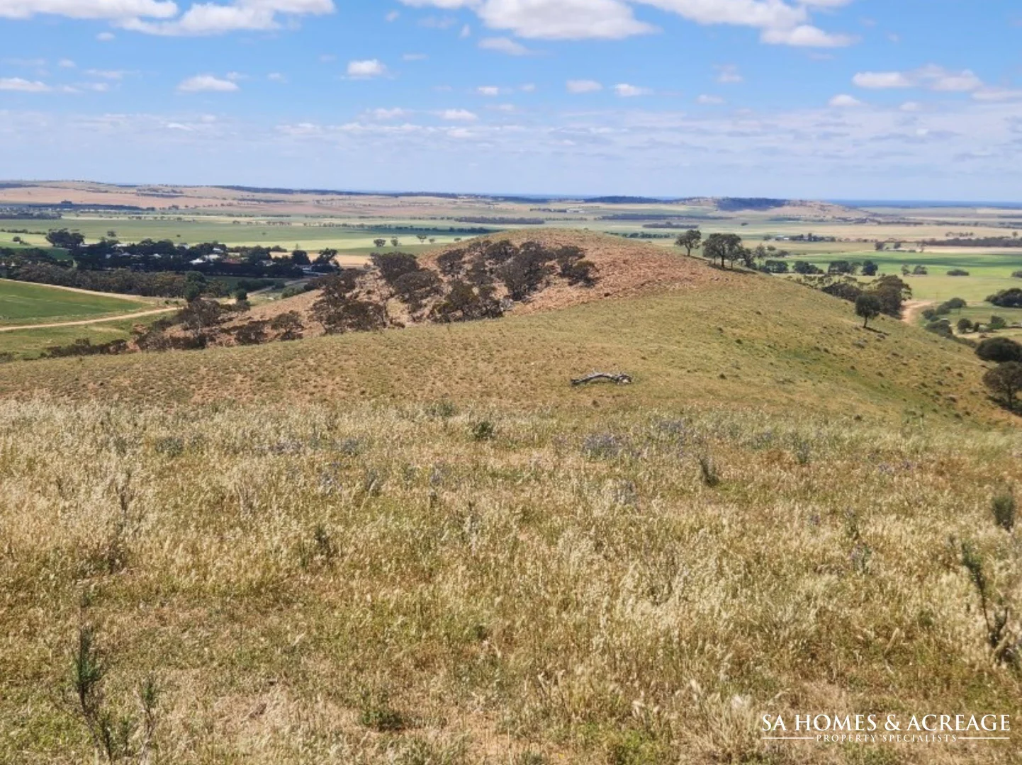 Additional image 9 of Lot 187 Cutting Road, Point Pass SA 5374