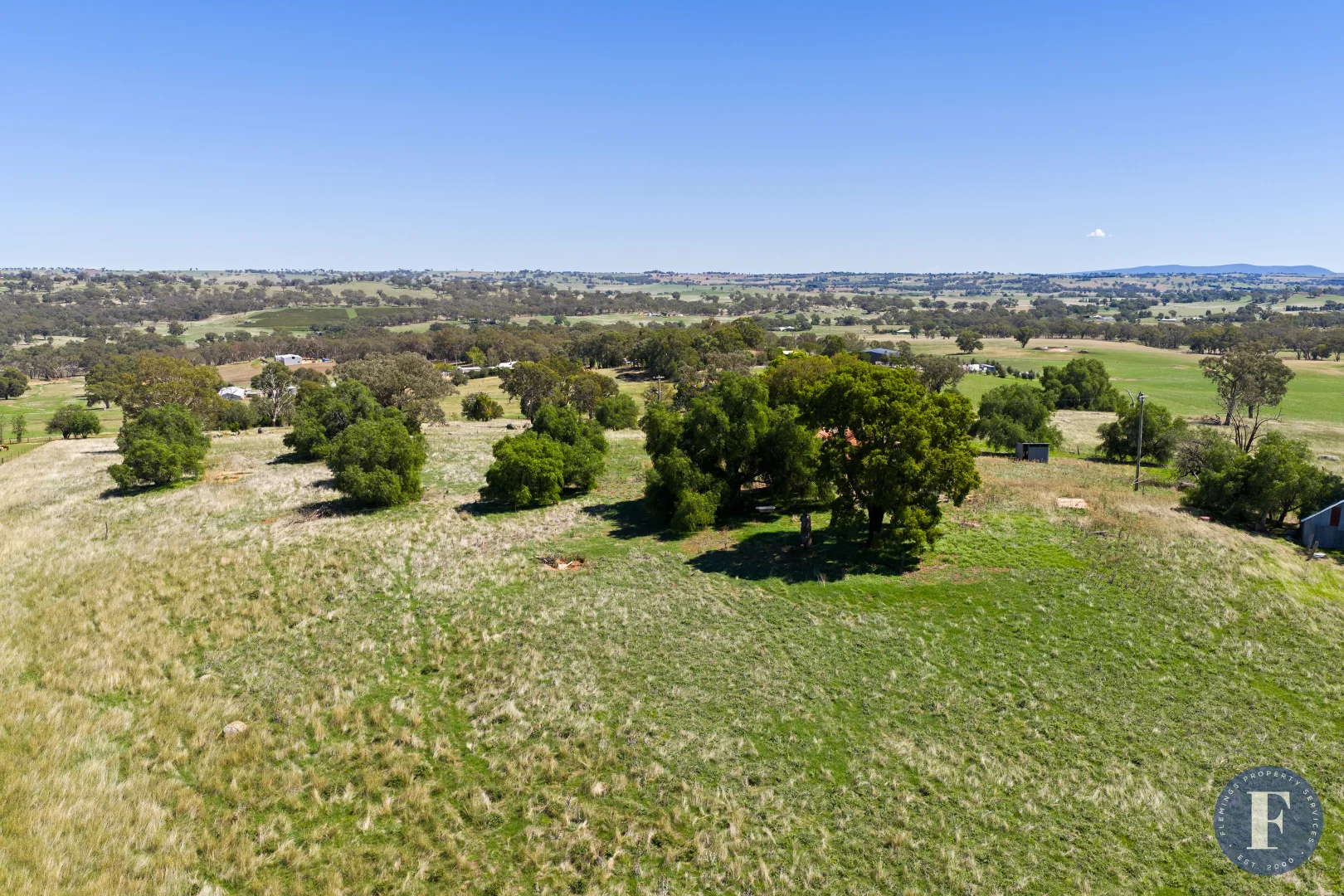 Additional image 6 of 130 Allandale Road, Young NSW 2594