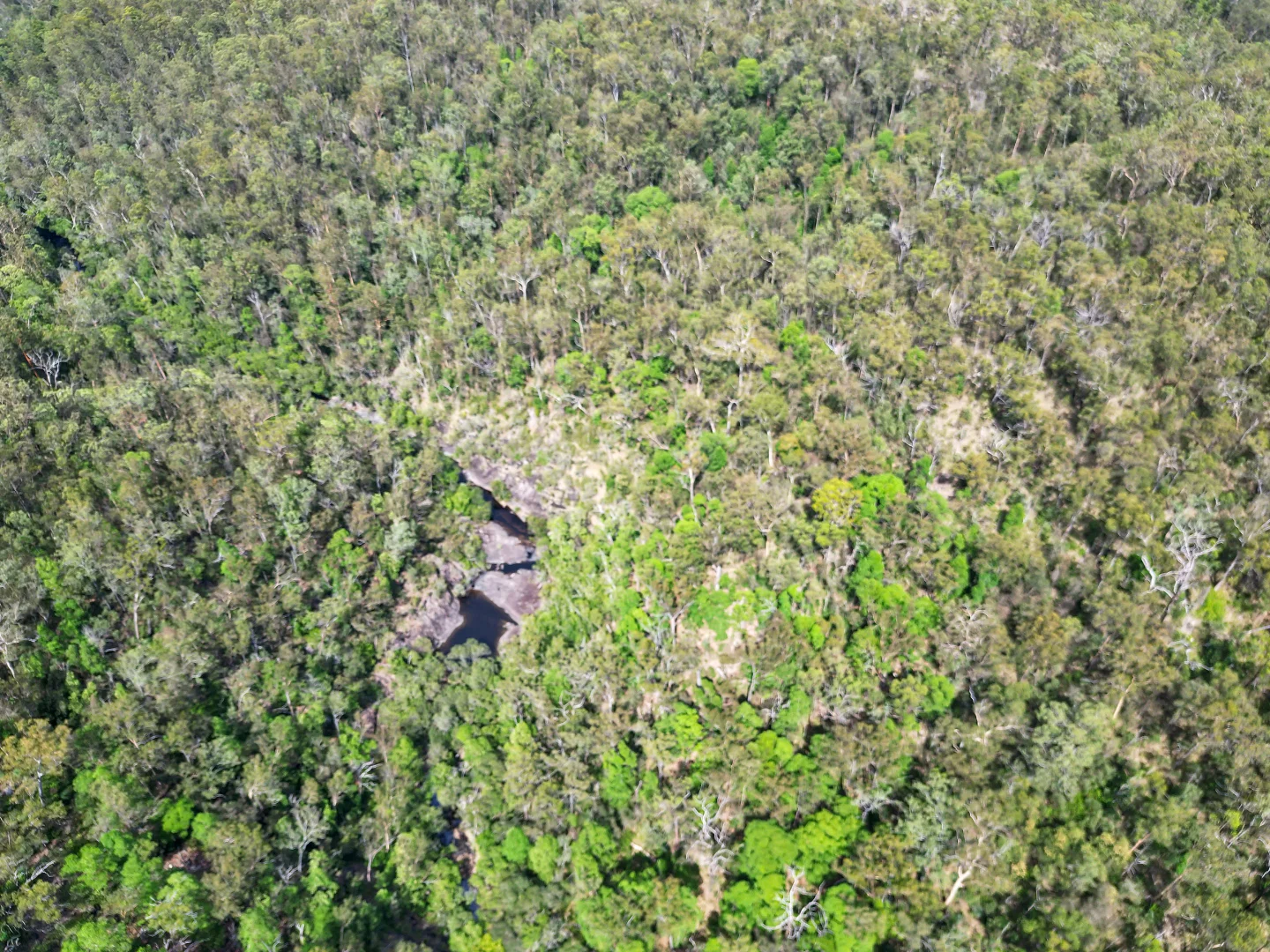 Additional image 16 of 301 Mud Flat Road, Drake NSW 2469