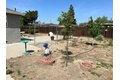 Additional image 25 of 1133 S Minaret Ave, Turlock, CA, 95380