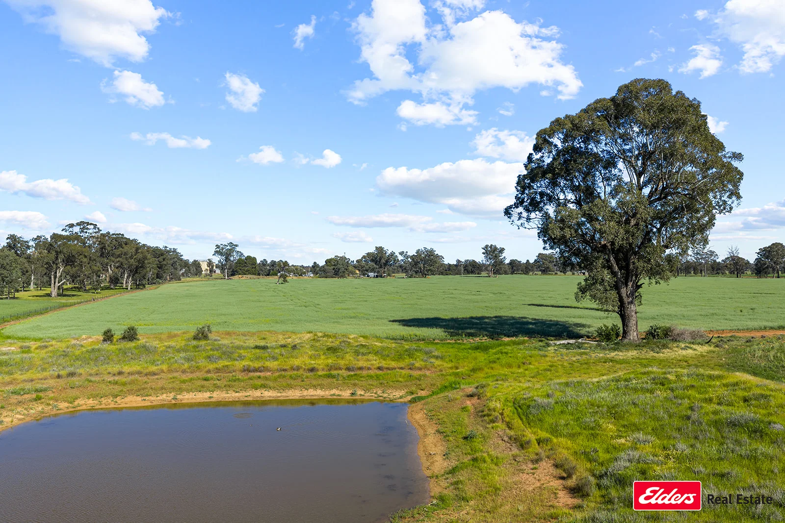 Additional image 8 of 223 Morans Road, Bribbaree NSW 2594
