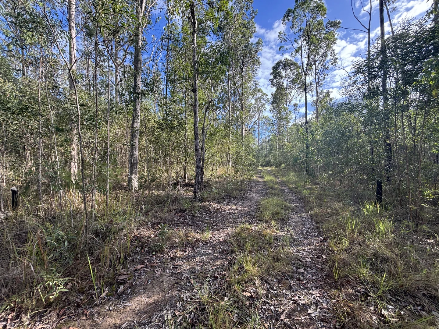 Additional image 8 of 580 Old Tenterfield Road, Camira NSW 2469