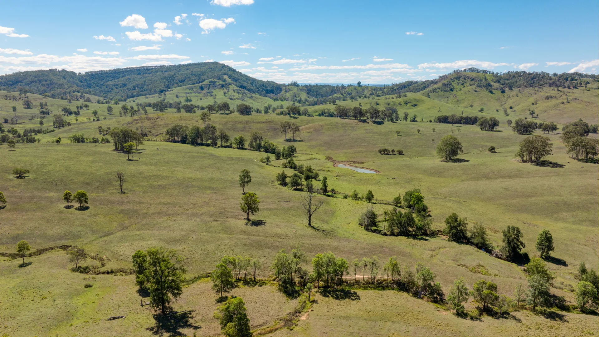 Additional image 5 of 1993 Glendonbrook Road, Gresford NSW 2311