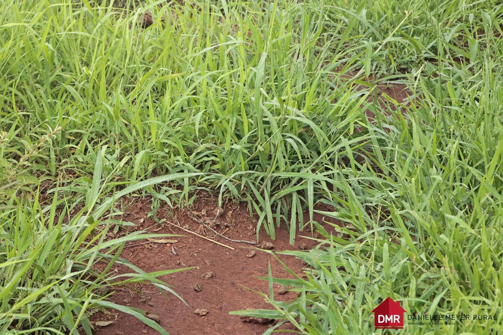 Additional image 12 of 271 McLaughlans Road, Monto QLD 4630