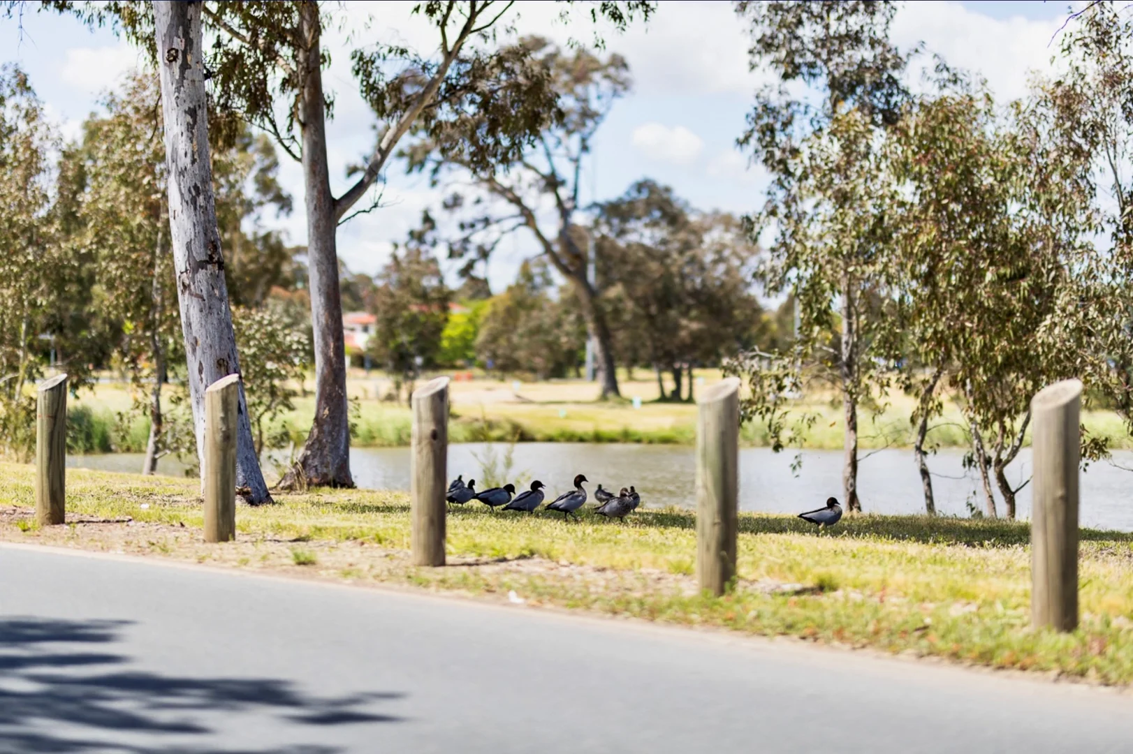 Additional image 23 of 8/42 Adder Street, Harrison ACT 2914