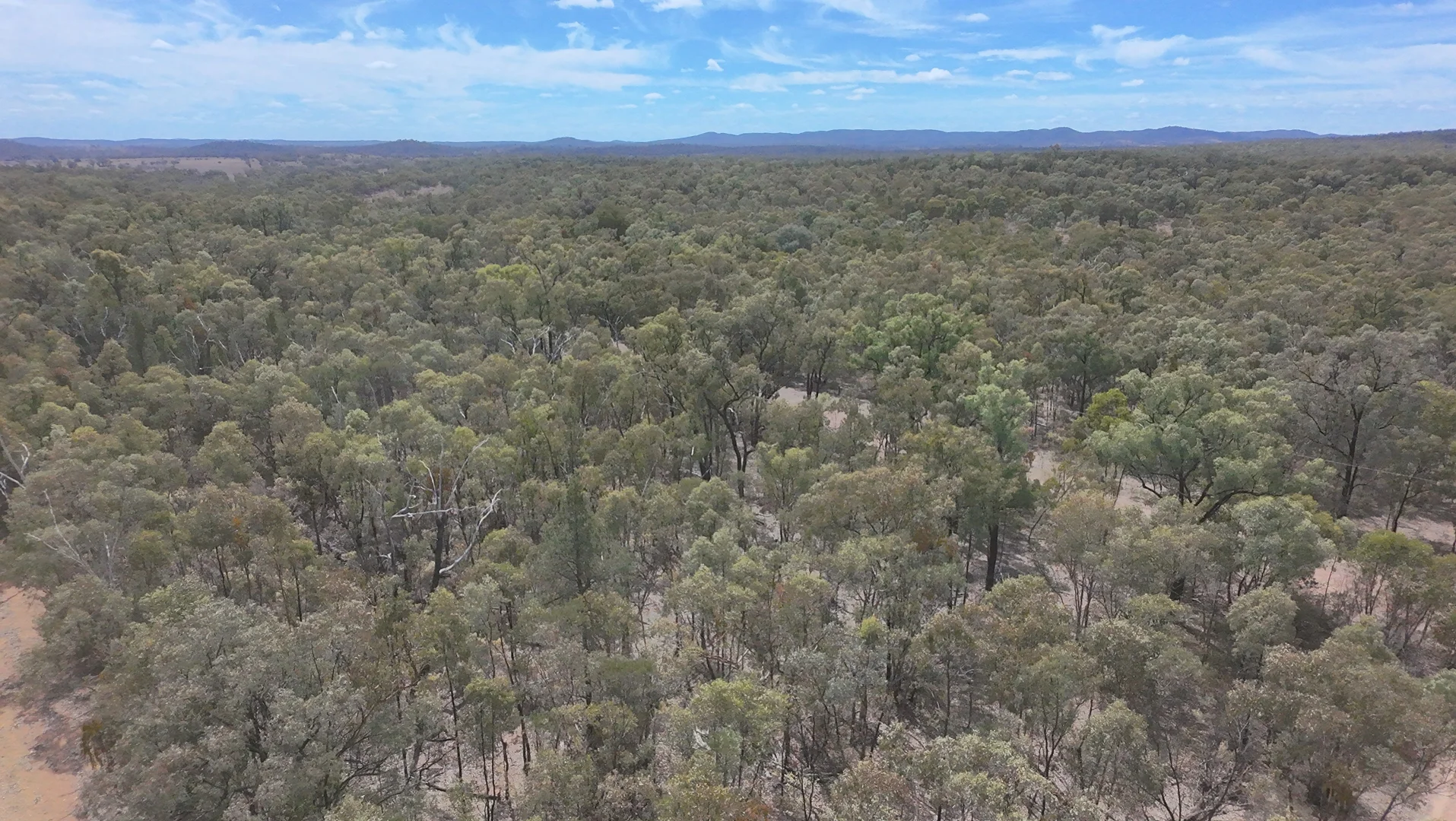 Additional image 20 of 566 Waverley Lane, Silver Spur QLD 4385