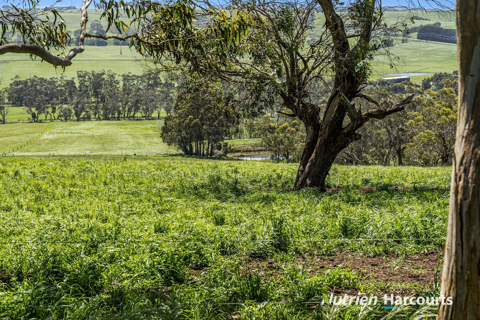 Additional image 8 of Part/880 Timboon - Colac Road, Simpson VIC 3266