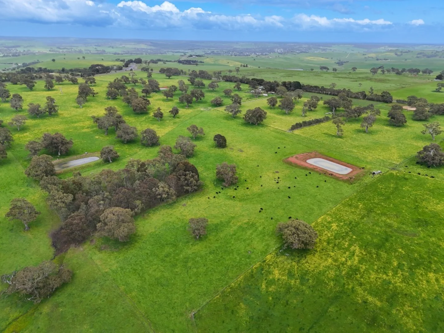 Additional image 29 of 66 Casterton-Edenhope Road, Casterton VIC 3311