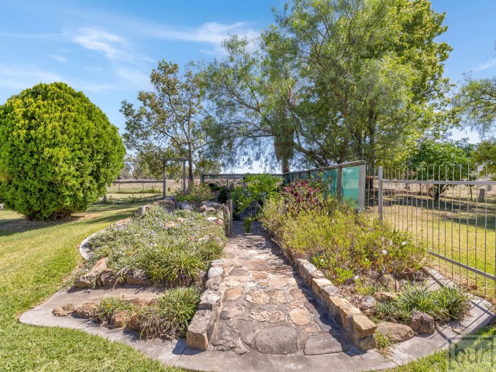 Additional image 32 of 142 Whittaker Lane, Howlong NSW 2643
