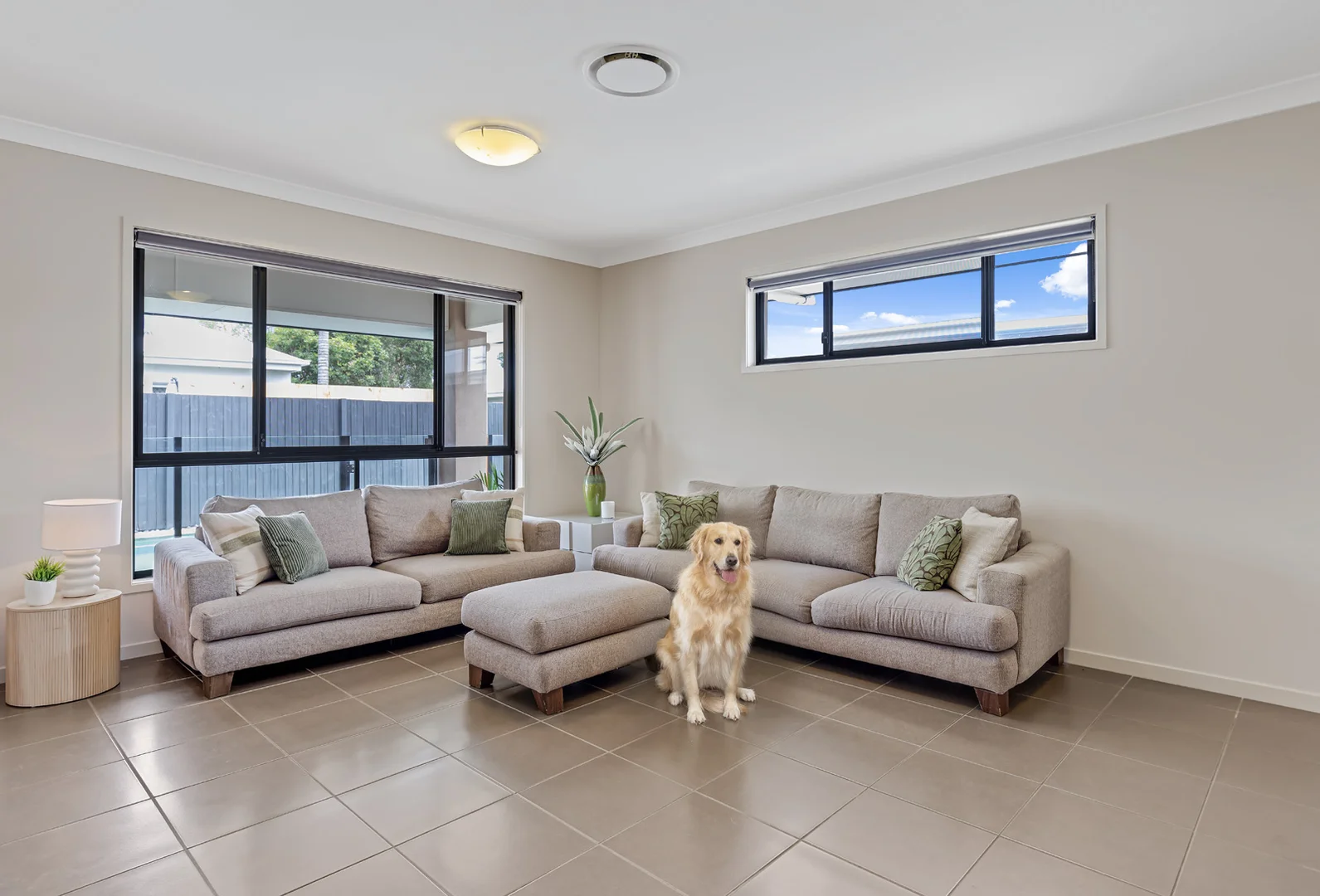 Additional image 7 of 6 Heliconia Street, Mountain Creek QLD 4557