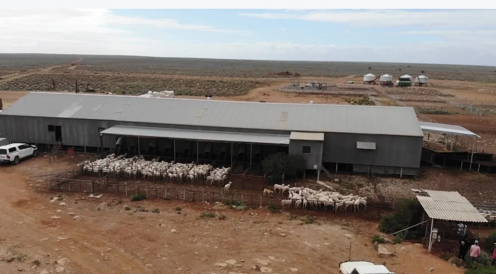 Additional image 3 of Madura Plains Station, Eucla WA 6443
