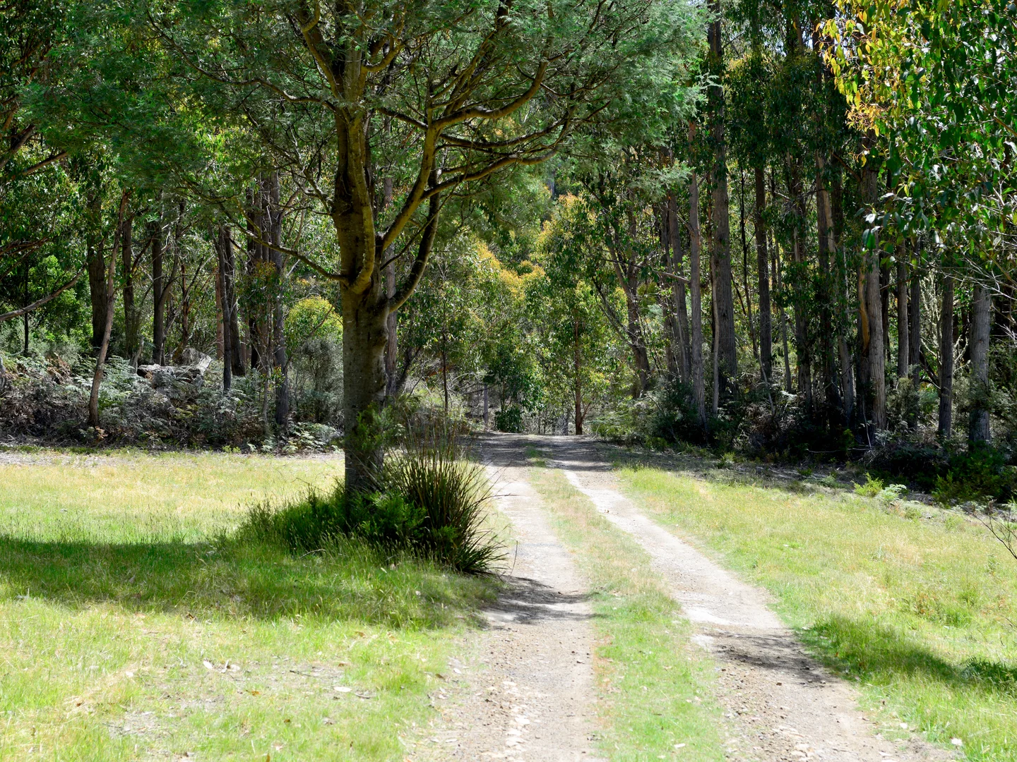 Additional image 7 of 79 Marriotts Road, Ellendale TAS 7140