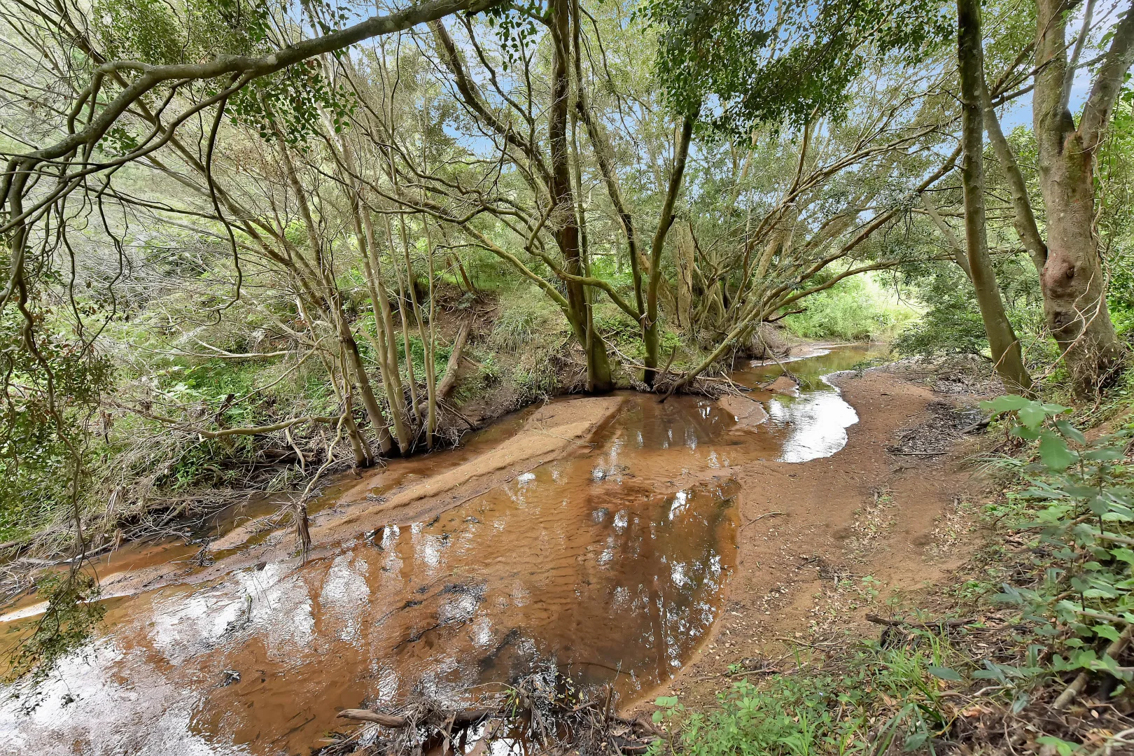 Additional image 28 of 35 Dogwood Road, Laguna NSW 2325