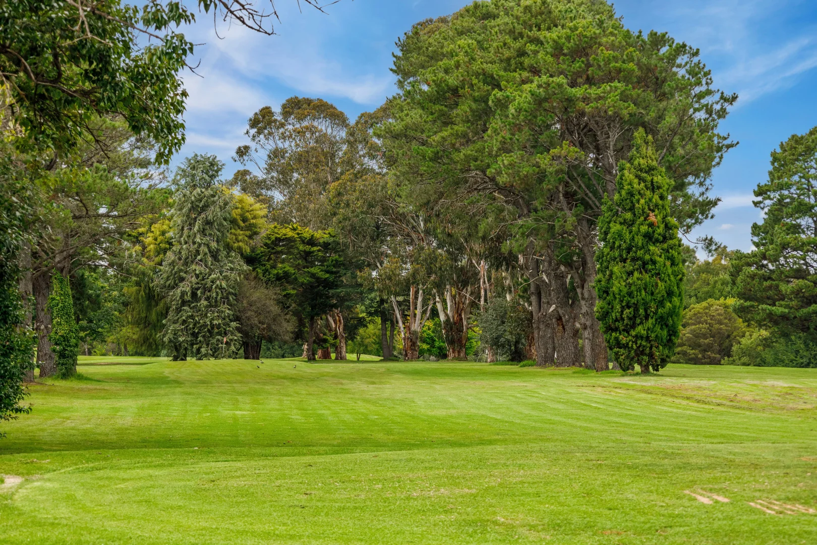 Additional image 18 of 7/52-54 Trinculo Place, Queanbeyan East NSW 2620