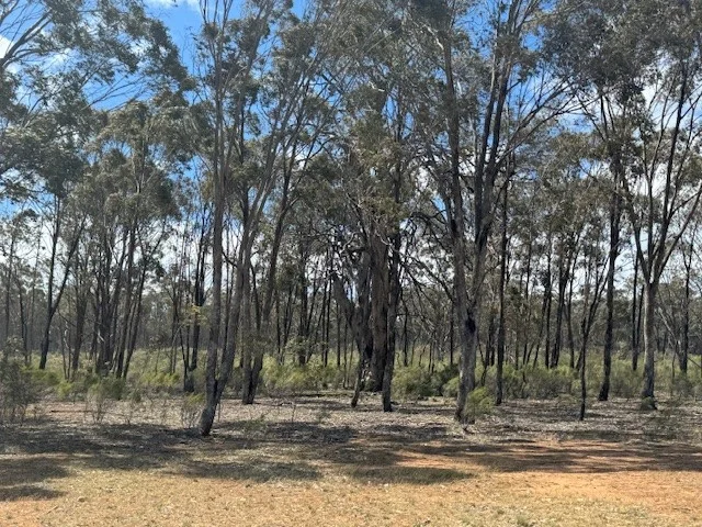 Additional image 5 of Lot 30 Wheelhouse Road, Wehla VIC 3518