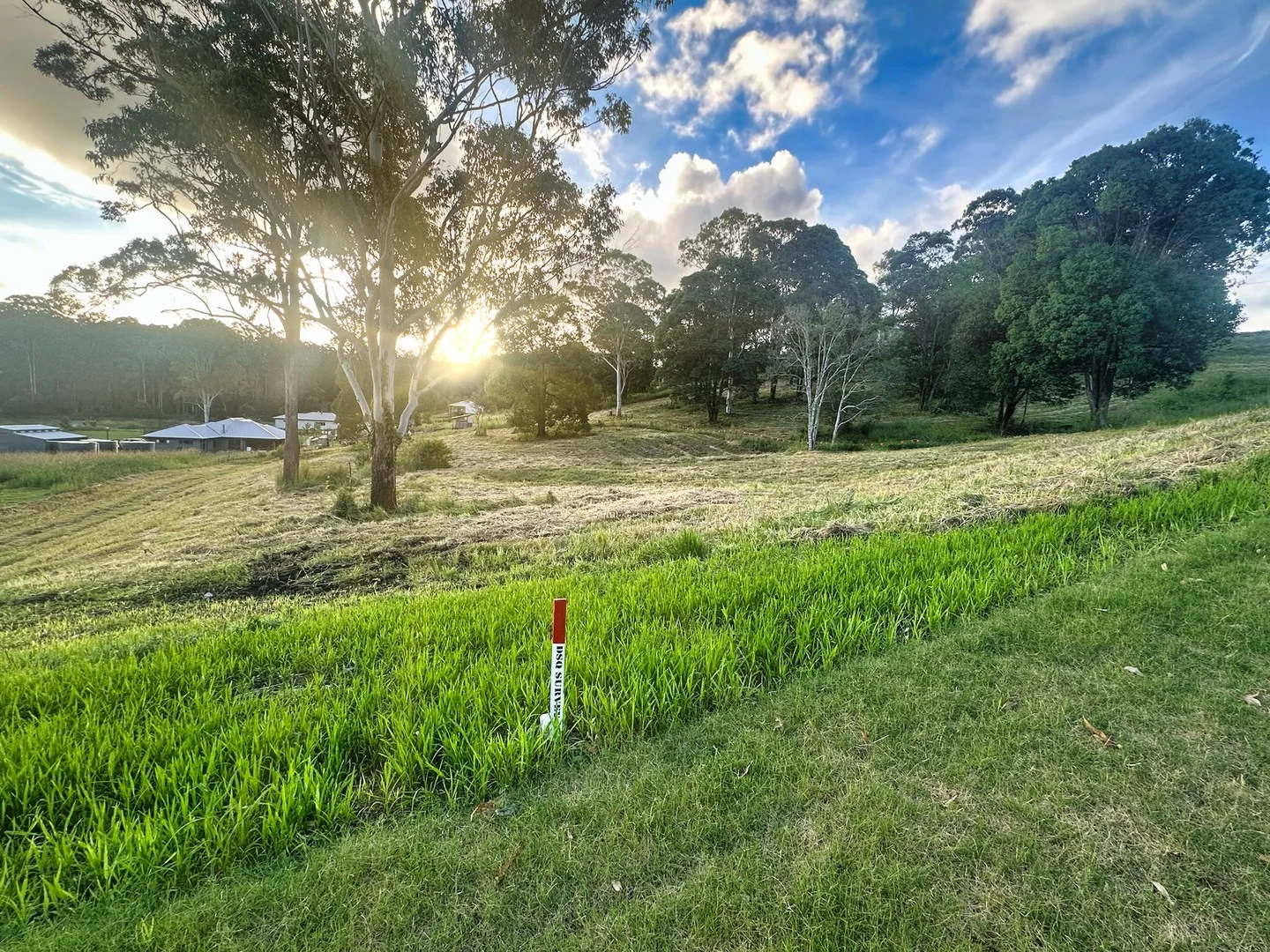 Additional image 8 of 116 Thrushs Road, Dulong QLD 4560