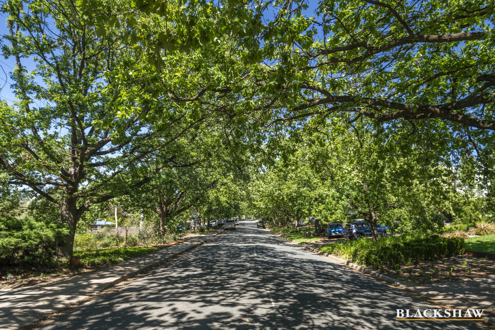 Additional image 15 of 44 Mackennal Street, Lyneham ACT 2602