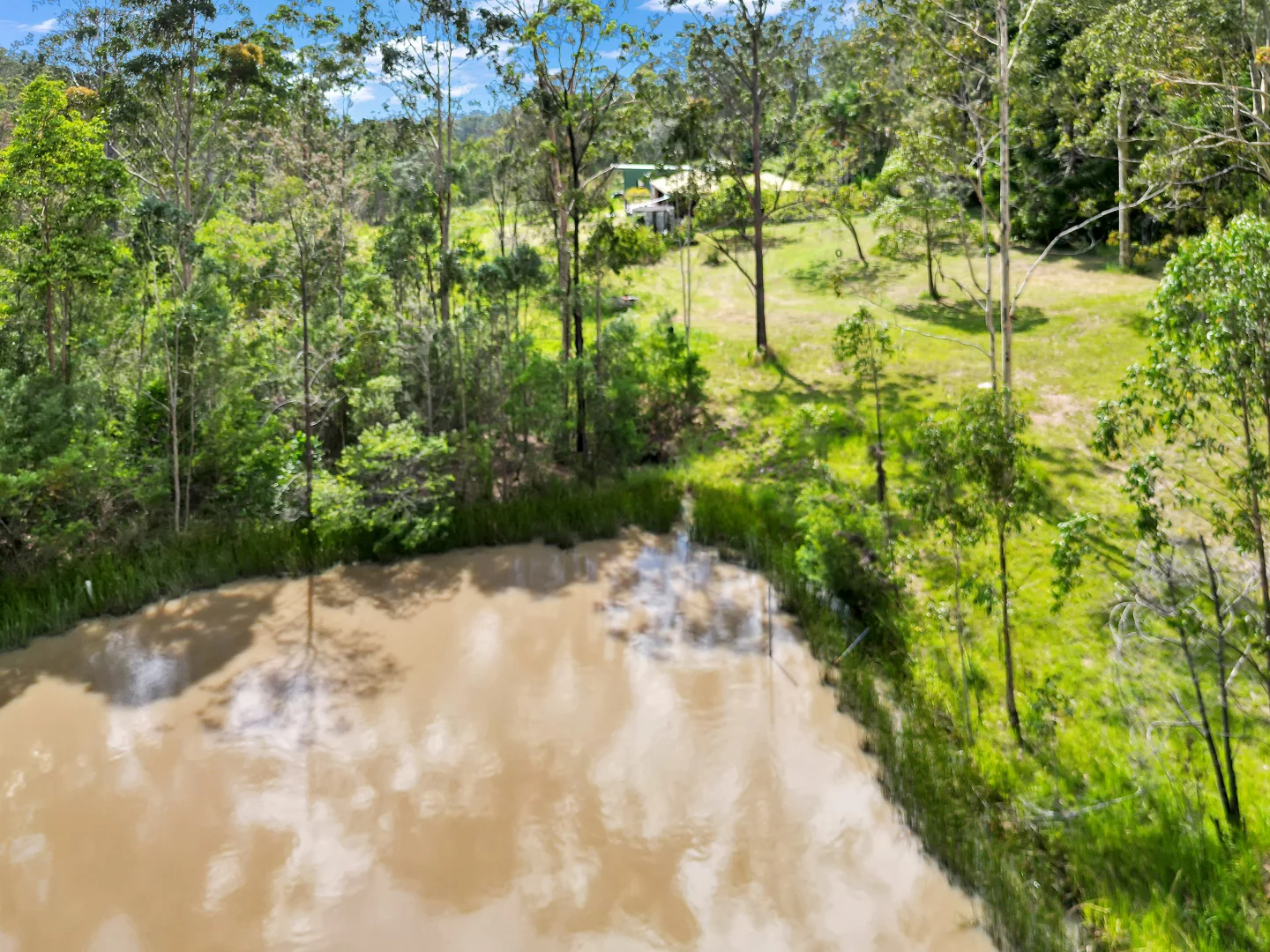 Additional image 20 of 301 Mud Flat Road, Drake NSW 2469