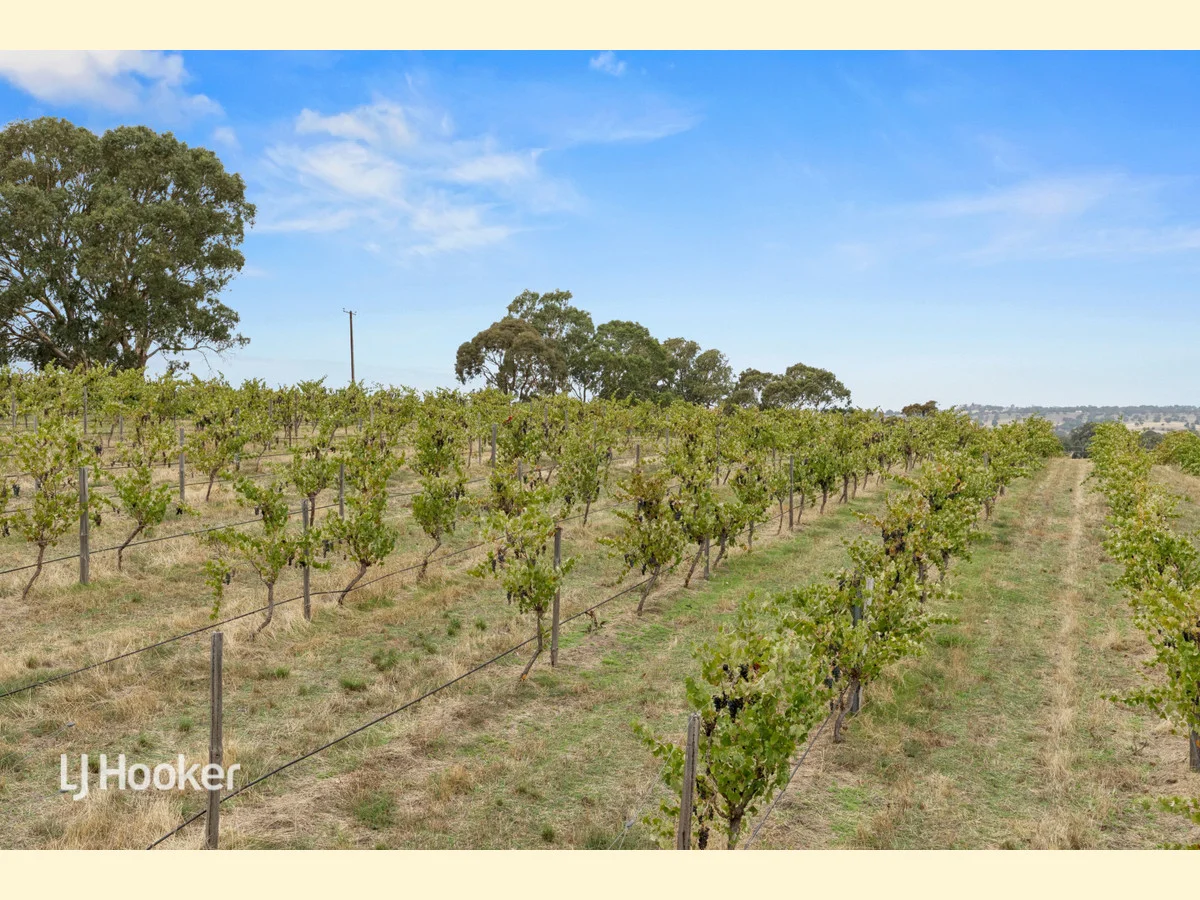 Additional image 3 of 550 Flaxmans Valley Road, Angaston SA 5353