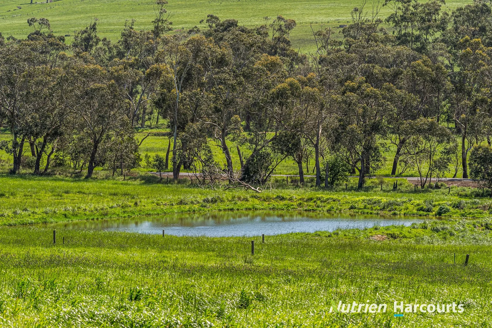 Additional image 11 of Part/880 Timboon - Colac Road, Simpson VIC 3266