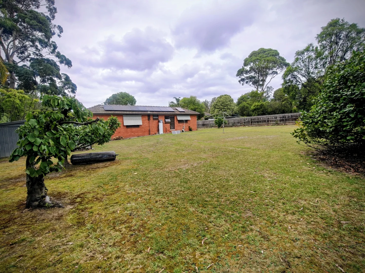 Boronia VIC 3155 photo 4