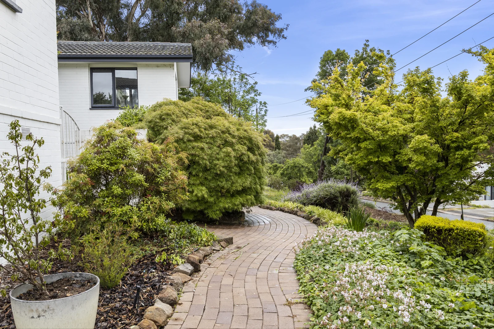 Additional image 3 of 5 Markham Street, Mawson ACT 2607