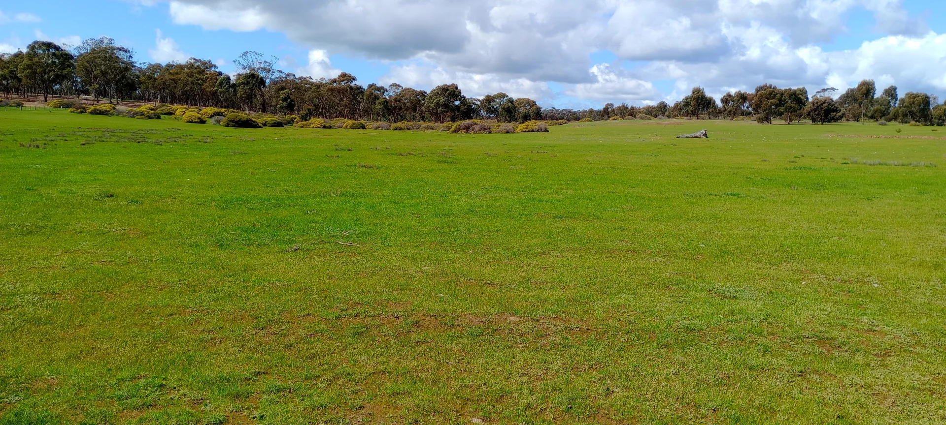 Additional image 4 of Wedderburn VIC 3518