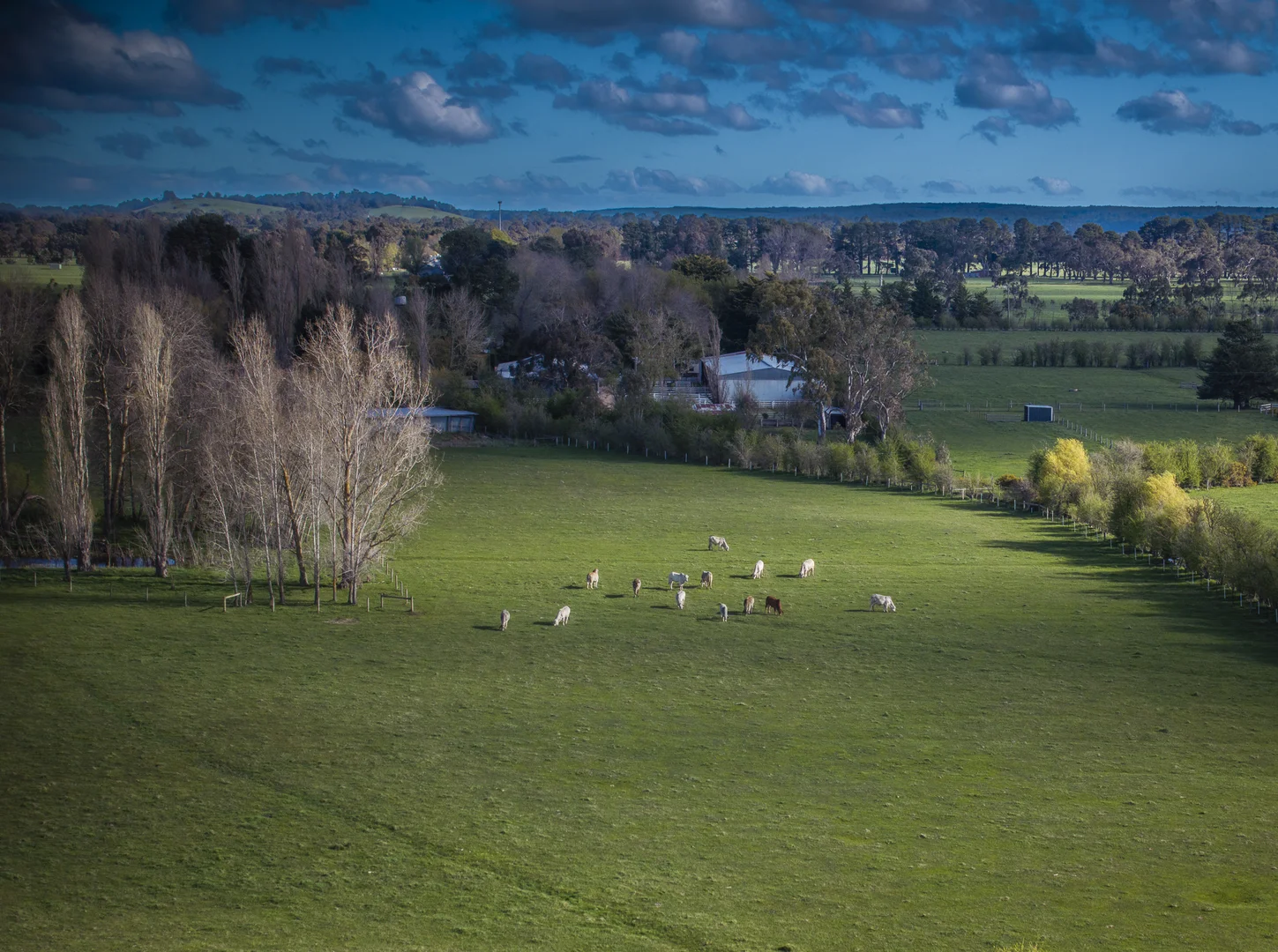 Additional image 25 of 109 James Road, Cadello VIC 3442