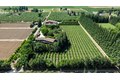 Additional image 71 of 20592 Ayers Rd, Escalon, CA, 95320