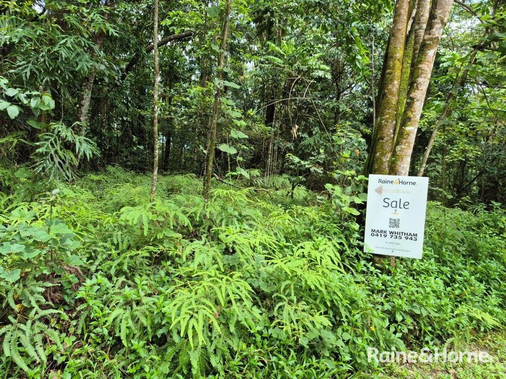Lot 18 George Road, Forest Creek QLD 4873