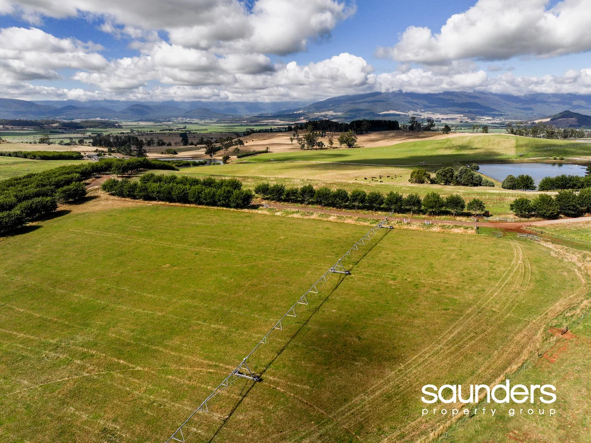 Additional image 2 of 110 Trickett Road, Needles TAS 7304