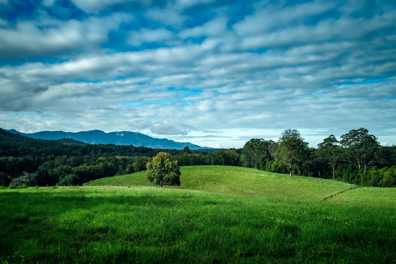 Additional image 38 of 2165 Waterfall Way, Thora NSW 2454