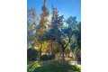 Additional image 66 of 48208 Tanglewood Ct, Aguanga, CA, 92536