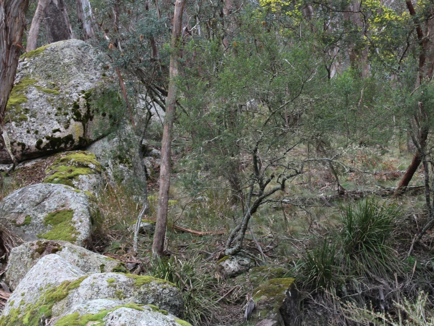 Additional image 27 of 1521 Morven Road, Dundee NSW 2370