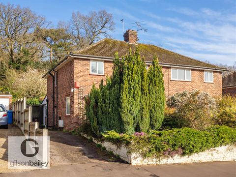 Cintra Road, Norwich NR1