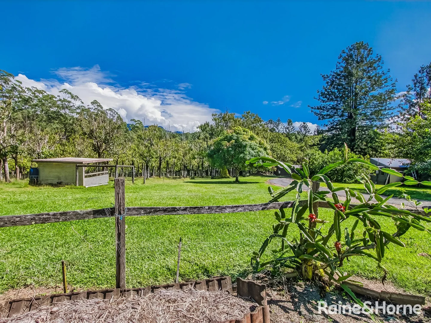 Additional image 29 of 3221 Kyogle Road, Mount Burrell NSW 2484