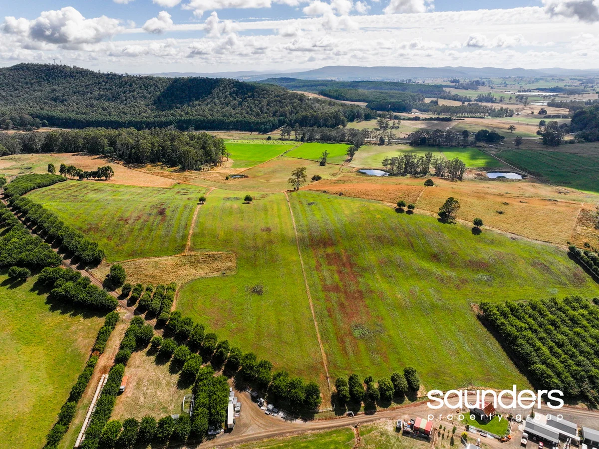 Additional image 3 of 110 Trickett Road, Needles TAS 7304