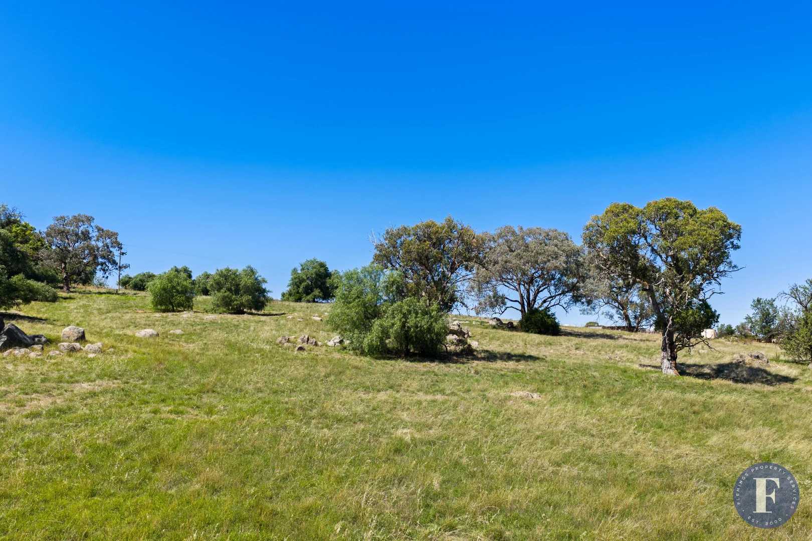 Additional image 13 of 130 Allandale Road, Young NSW 2594