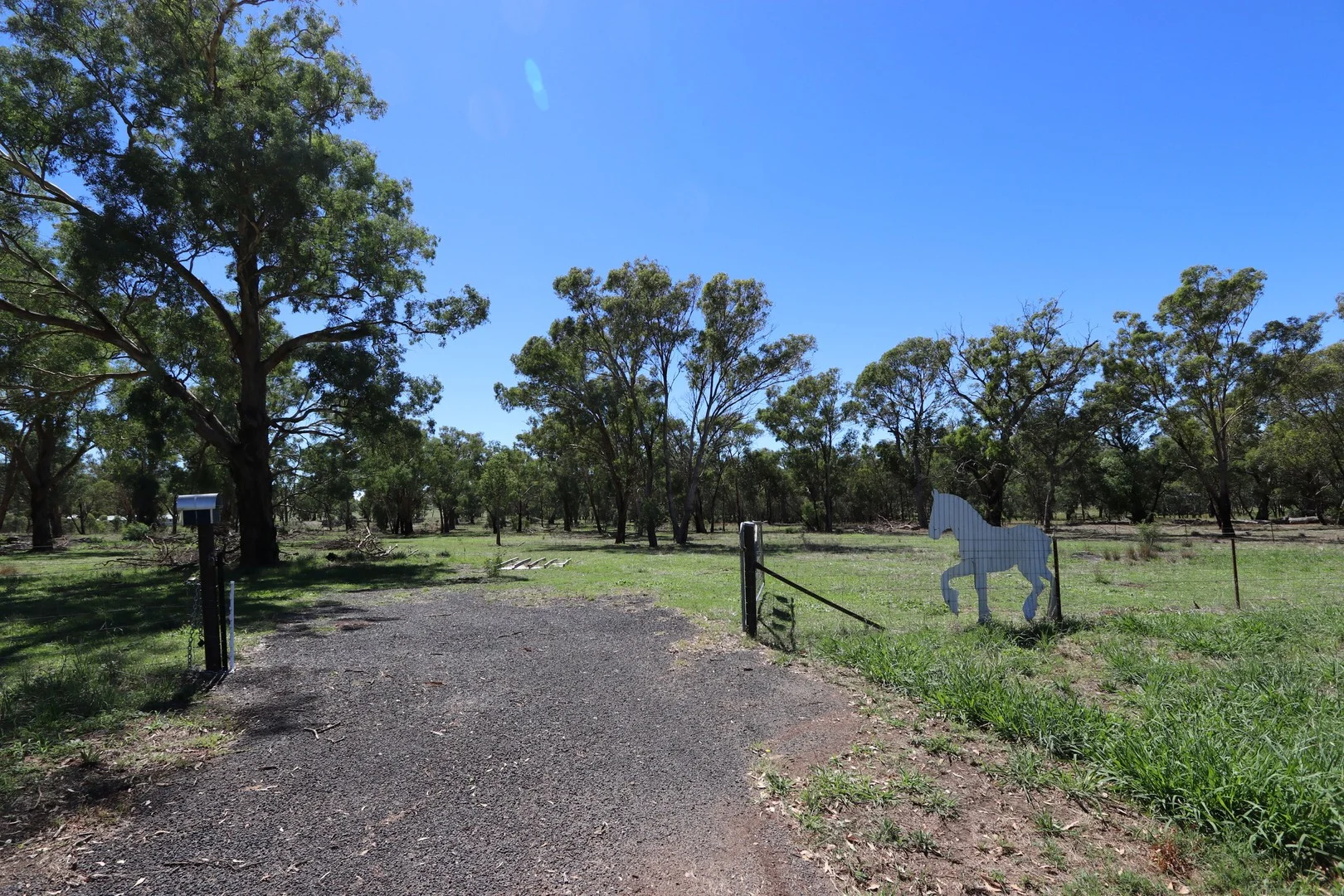 52 BENDICK MURRELL ROAD, Bendick Murrell via, Young NSW 2594