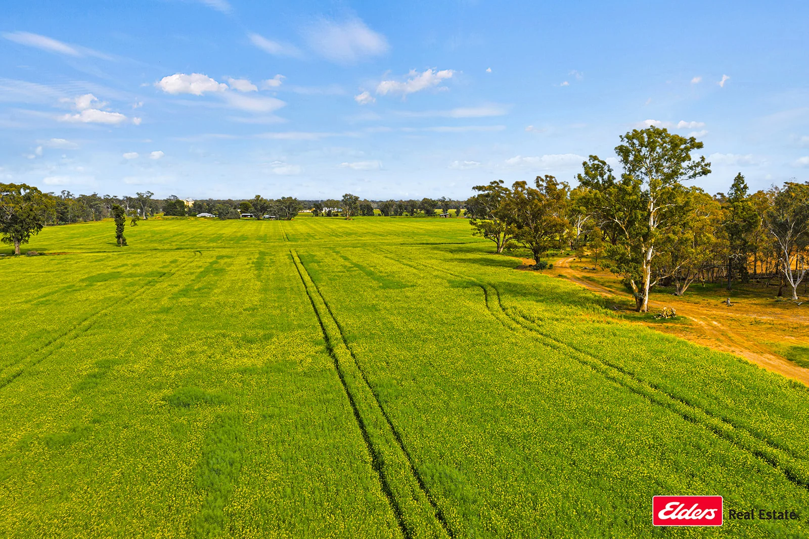 Additional image 14 of 223 Morans Road, Bribbaree NSW 2594