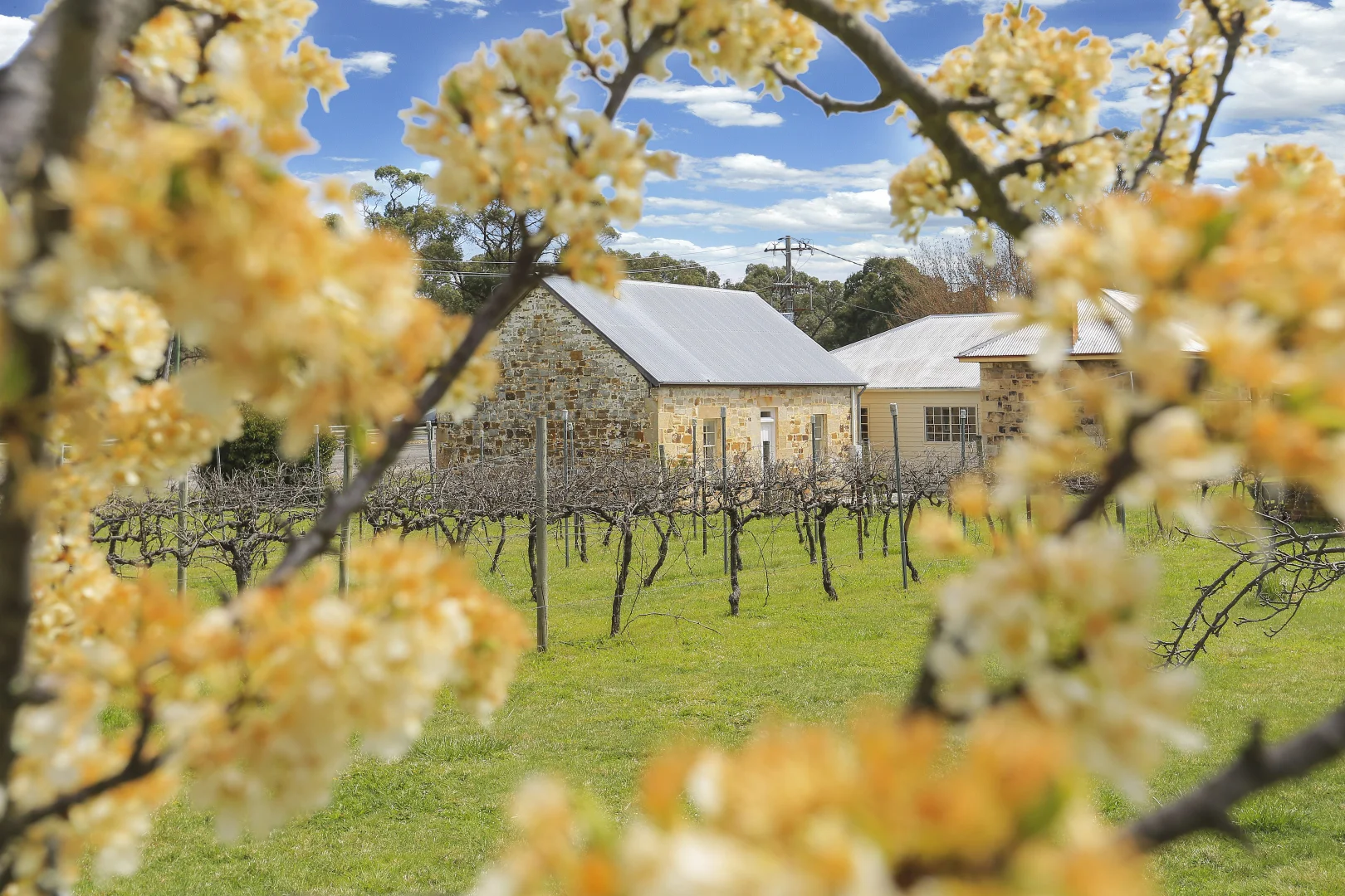 Additional image 25 of 111 Ian Holt Drive, Lidsdale NSW 2790